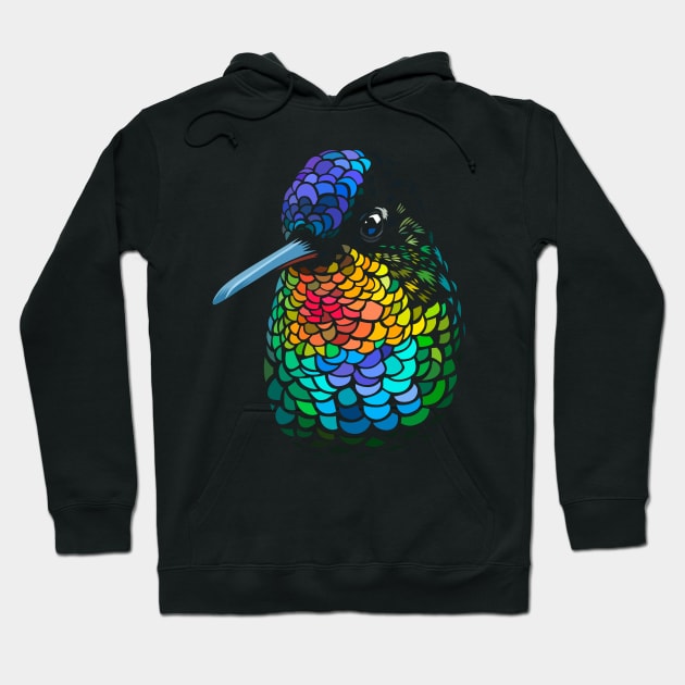 Hummingbird Colors Hoodie by albertocubatas